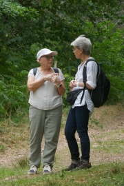 P1330084