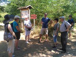 IMG-20220803-WA0005
